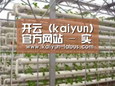 环境展示六