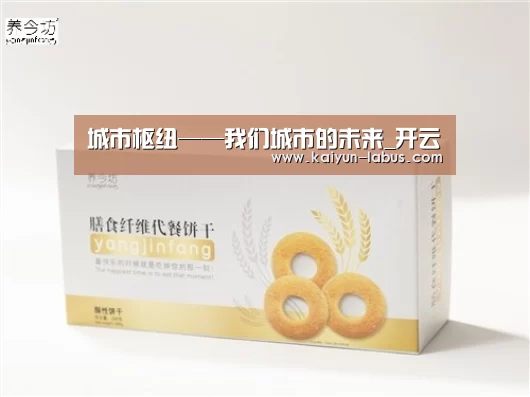 城市枢纽——我们城市的未来_开云(图4) 开云