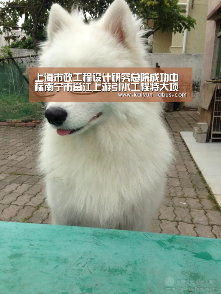 上海市政工程设计研究总院成功中标南宁市邕江上游引水工程特大项目:开云(图1) Kaiyun官网入口 - 首页通道