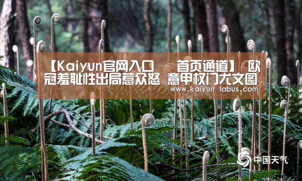 开云